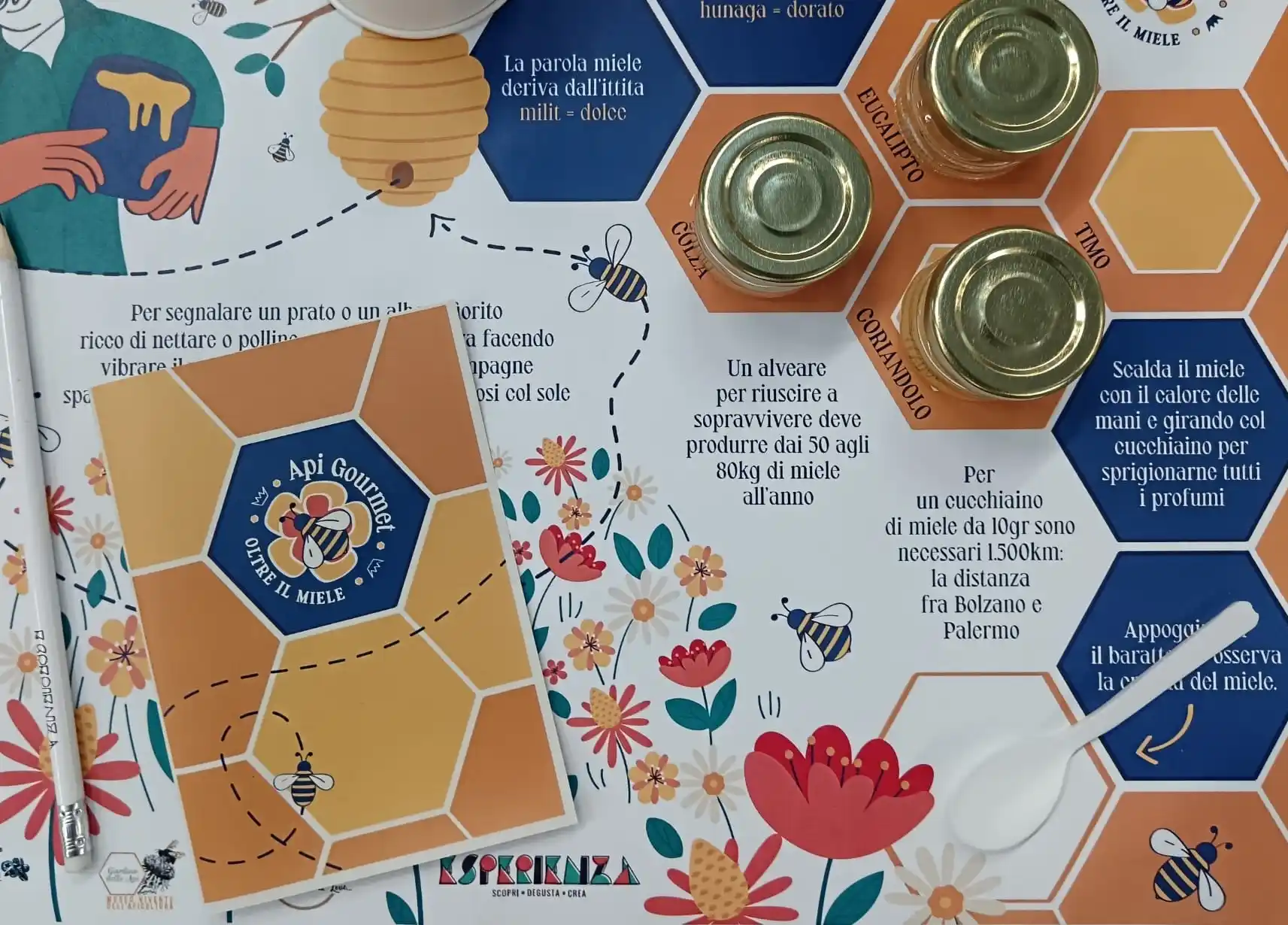 EsperienzaApiGourmet Esperienza Api Gourmet
