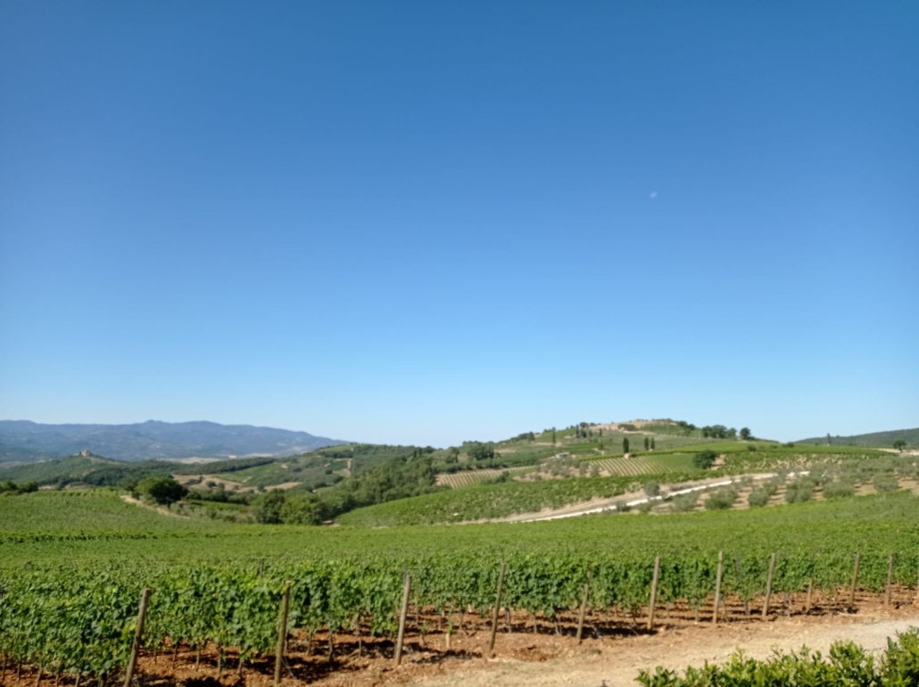 PIEMONTE view piedmont